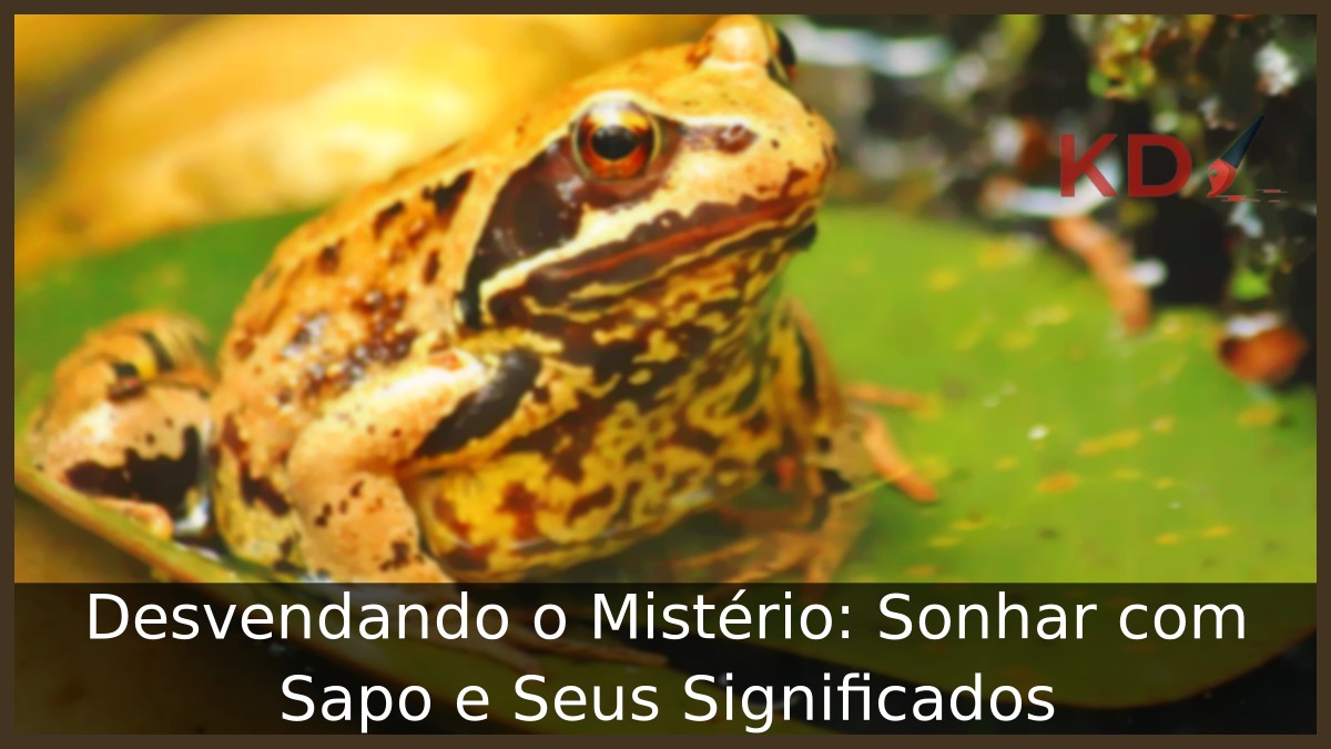 Significado de sonhar com sapo