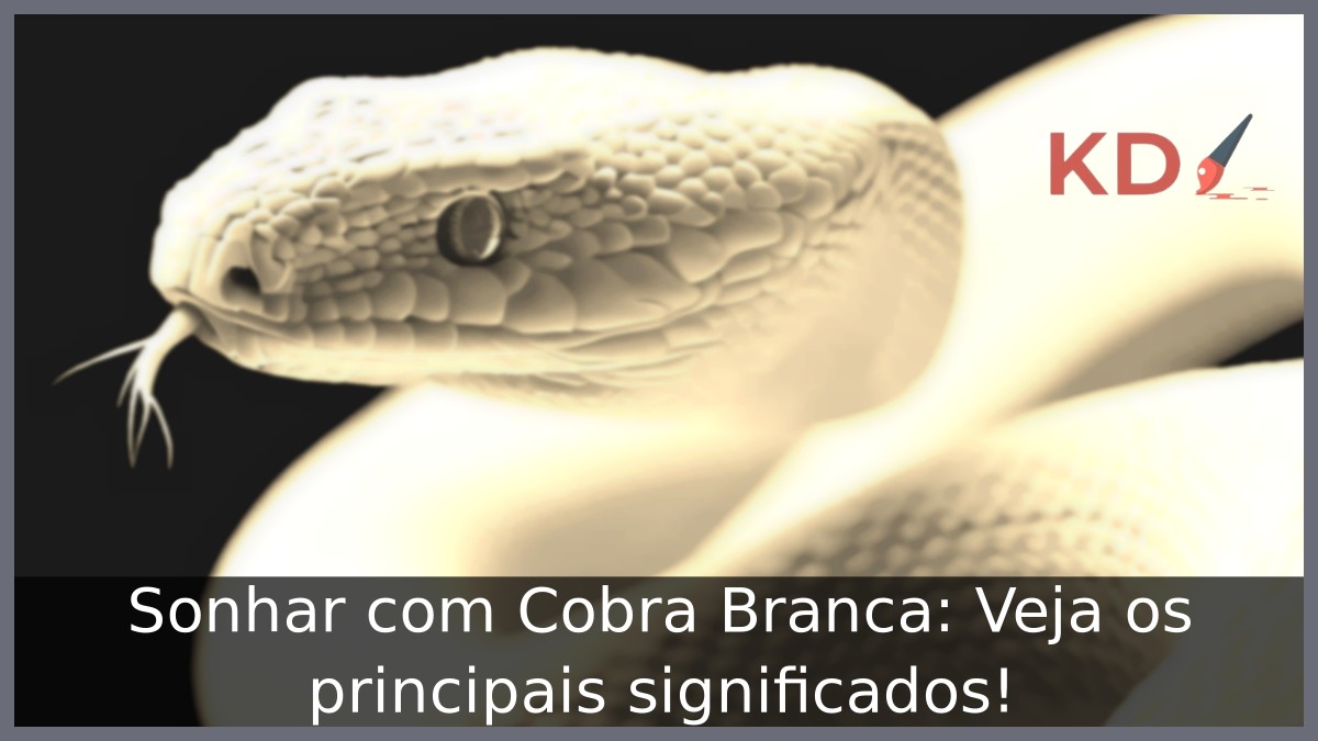 Significado de Sonhar com Cobra Branca