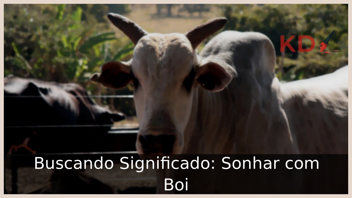 Sonhar com boi