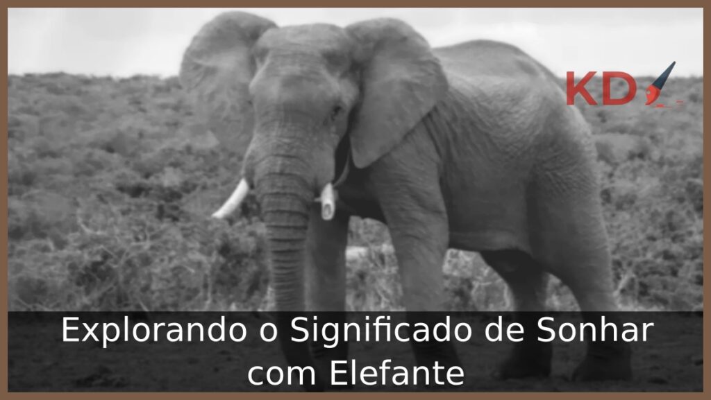 Sonhar com Elefante: Explorando os seus significados! 2 Sonhar com elefante