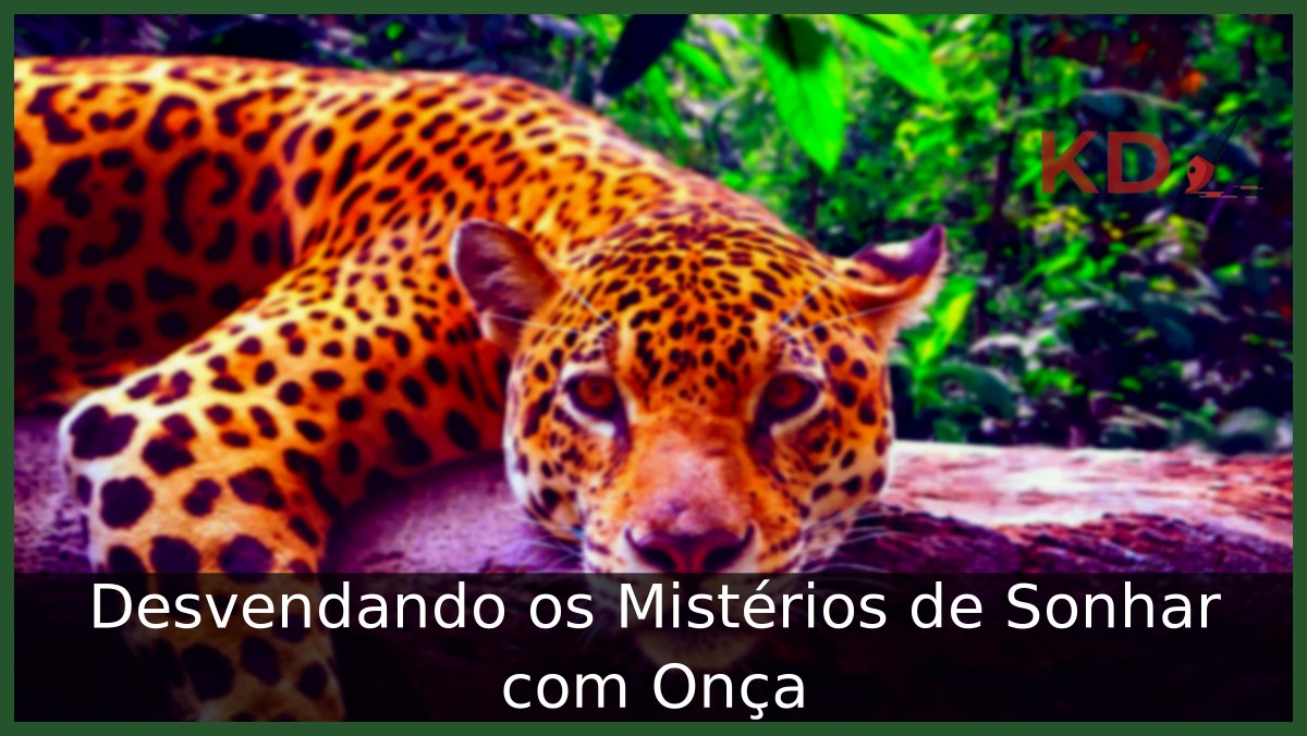 Sonhar com onça
