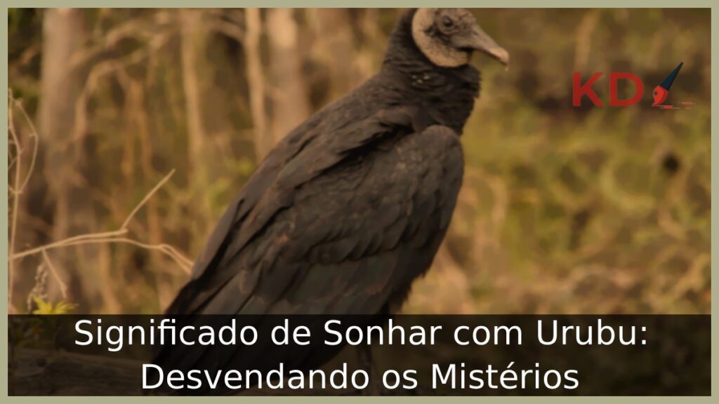Sonhar com urubu