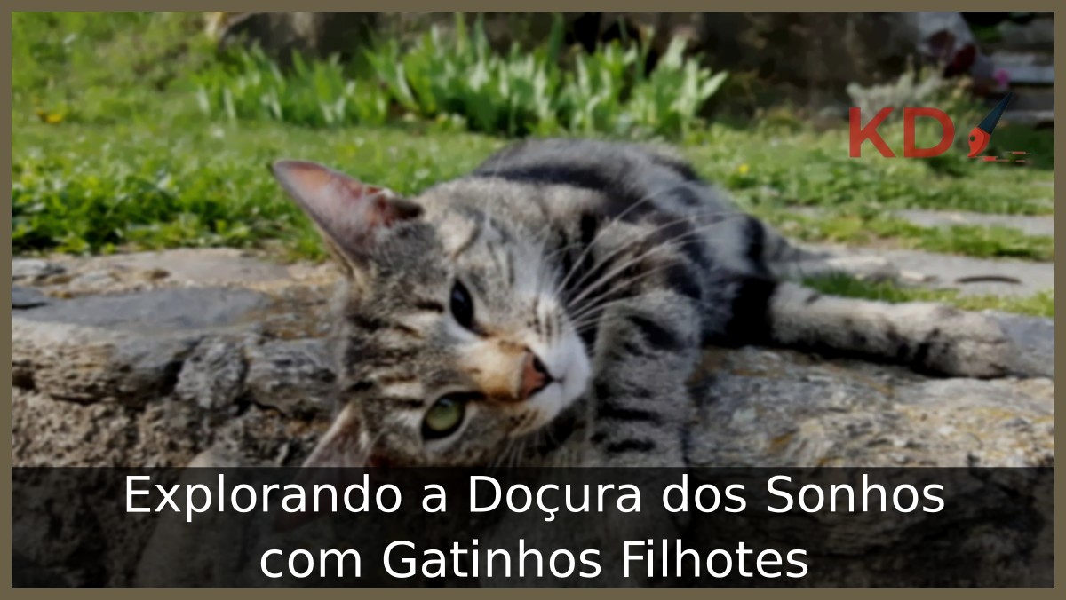 Sonhar com gatinhos filhotes