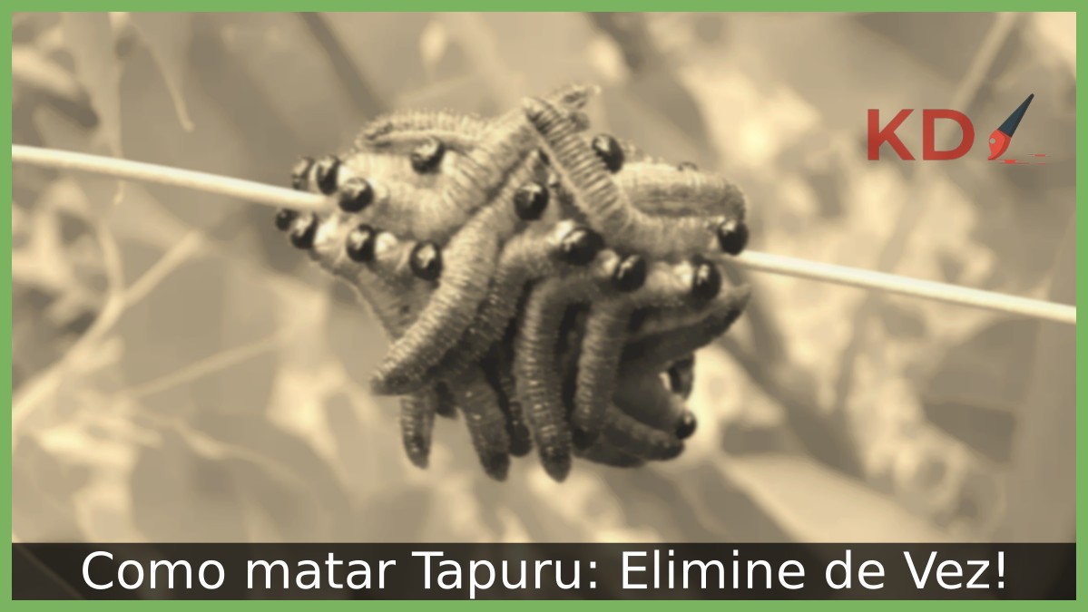 Como matar Tapuru: Elimine de Vez! - tapuru