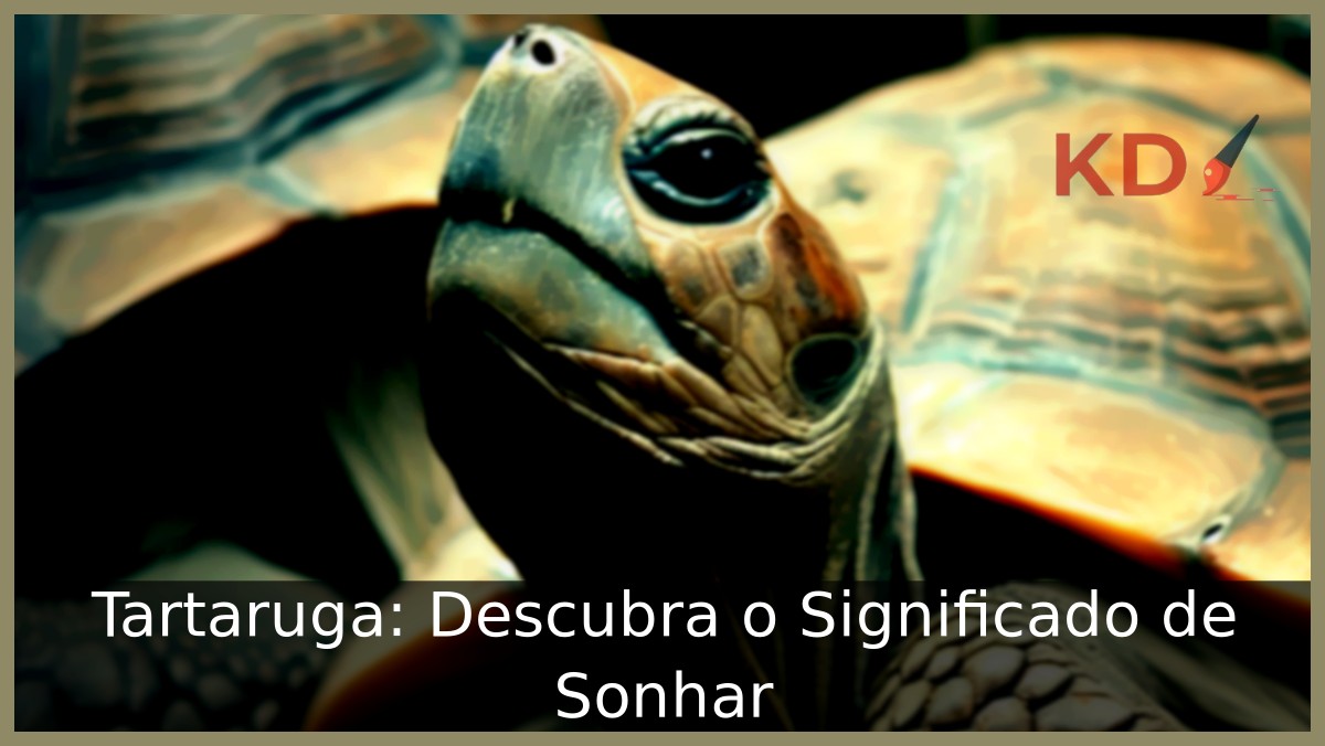 Sonhar com tartaruga
