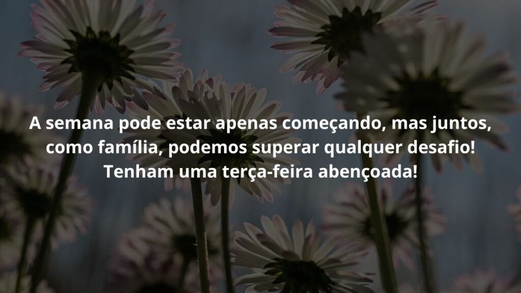 Mensagem de terça feira para WhatsApp: Confira algumas frases! 5 A semana pode estar apenas começando, mas juntos, como família, podemos superar qualquer desafio! Tenham uma terça-feira abençoada!