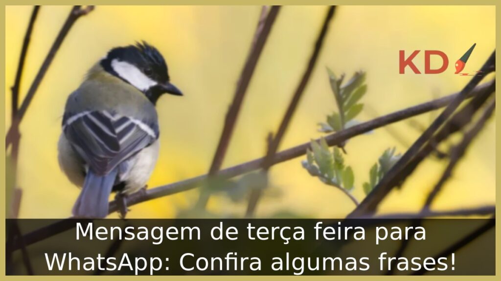 Mensagem de terça feira para WhatsApp: Confira algumas frases! 1 Mensagem de terça feira para WhatsApp.