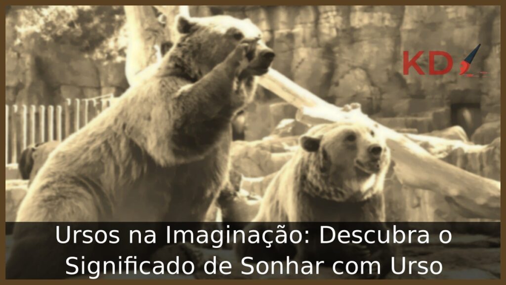 Sonhar com Urso: Veja os reais significados! 1 Sonhar com ursos