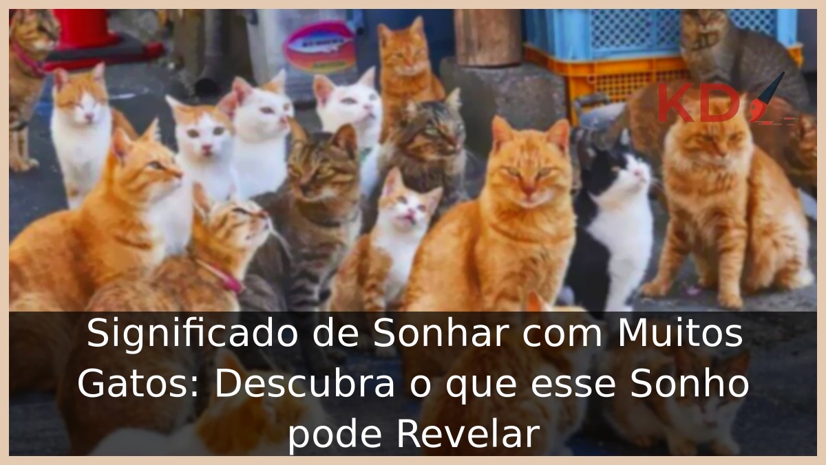 Sonhar com Muitos Gatos