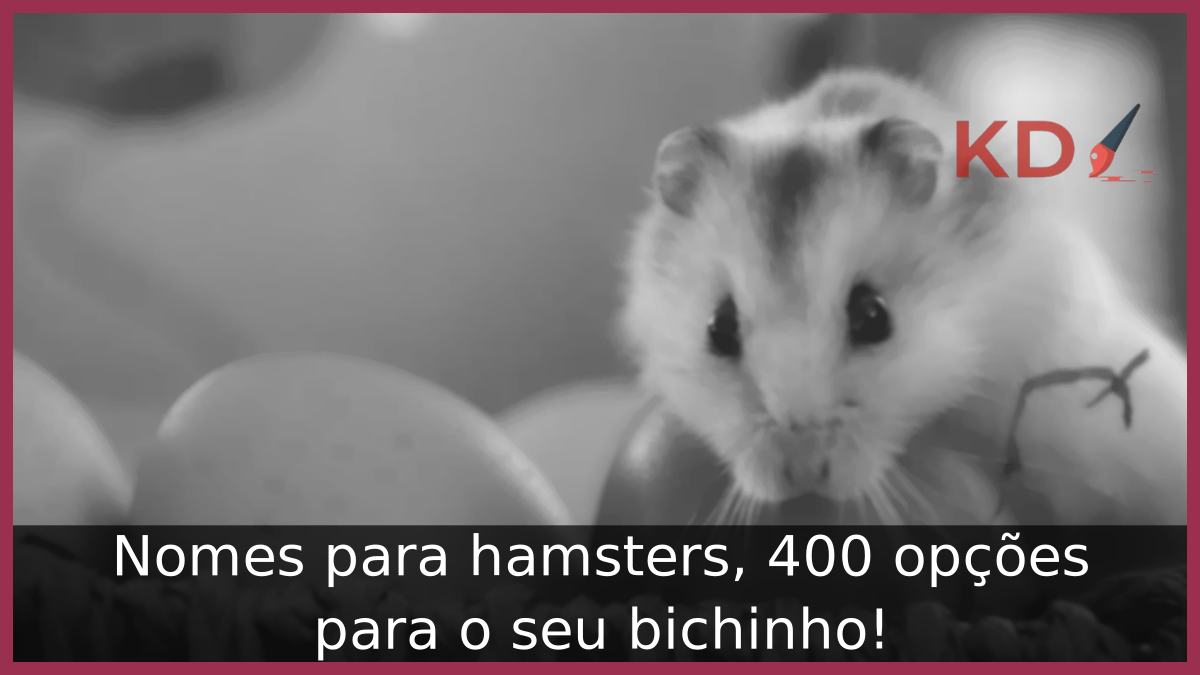 Nomes para hamsters