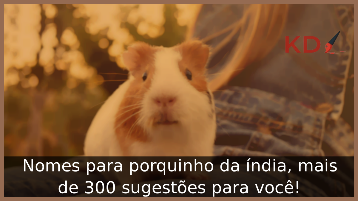 Porquinho da índia