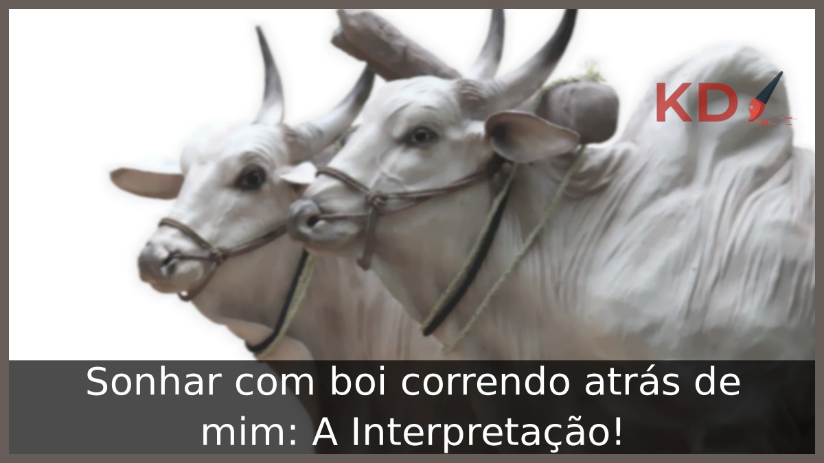Sonhar com boi correndo atrás de mim: A Interpretação! 13 Sonhar com boi correndo atrás de mim: A Interpretação!