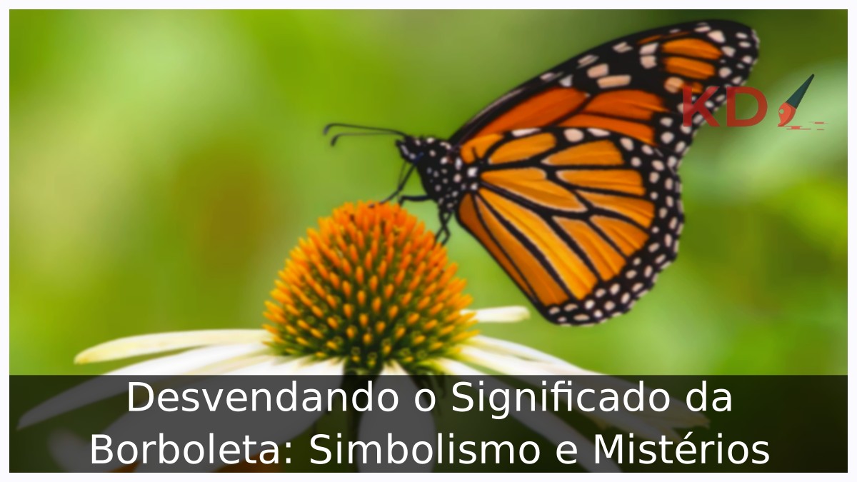 Significado da borboleta