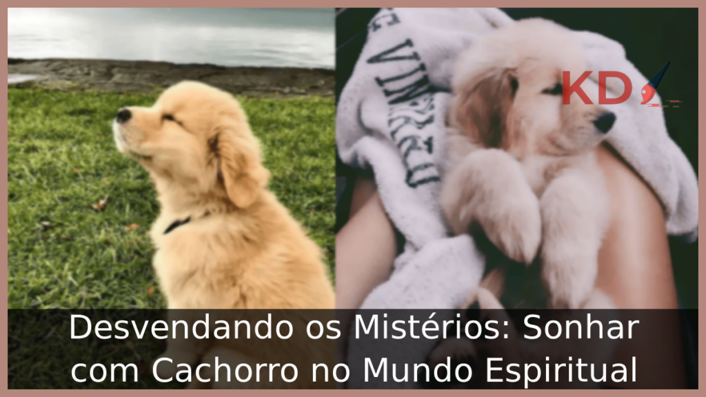 Sonhar com Cachorro no Mundo Espiritual