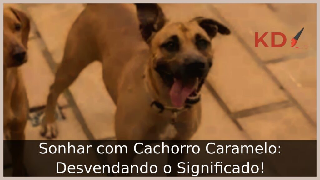 Sonhar com Cachorro Caramelo: Desvendando o Significado!