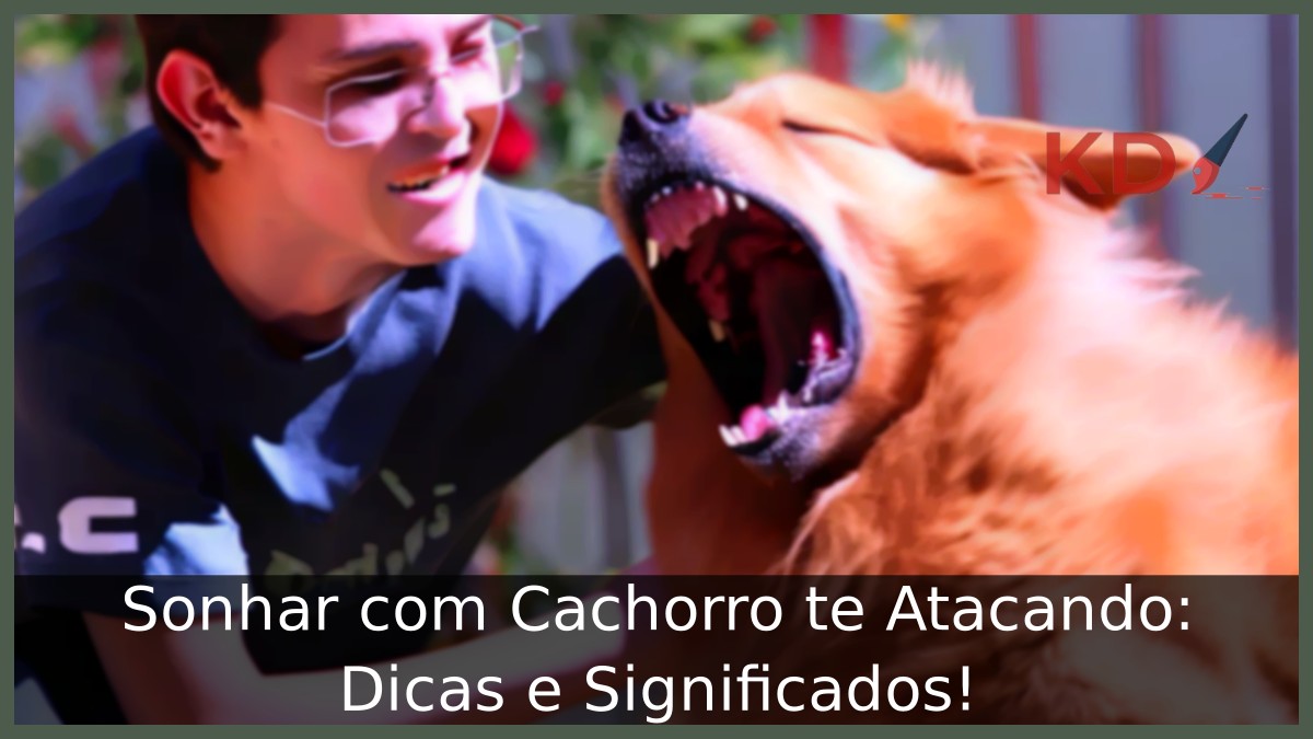 Sonhar com Cachorro te Atacando: Dicas e Significados!