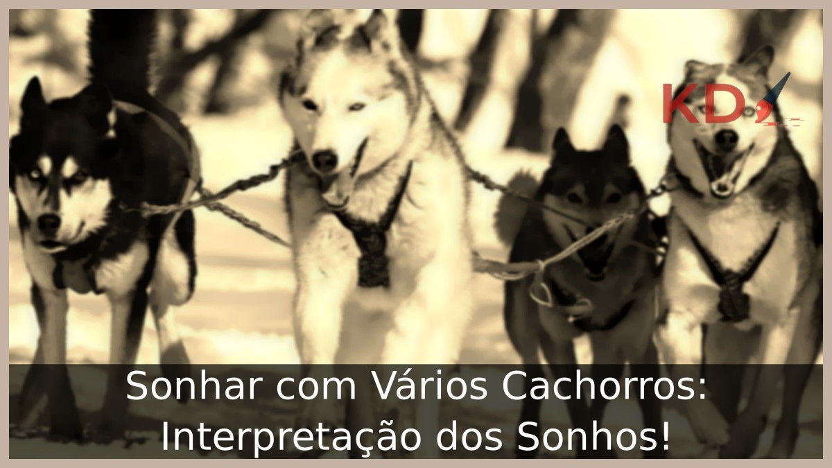 Sonhar com Vários Cachorros: Interpretação dos Sonhos!