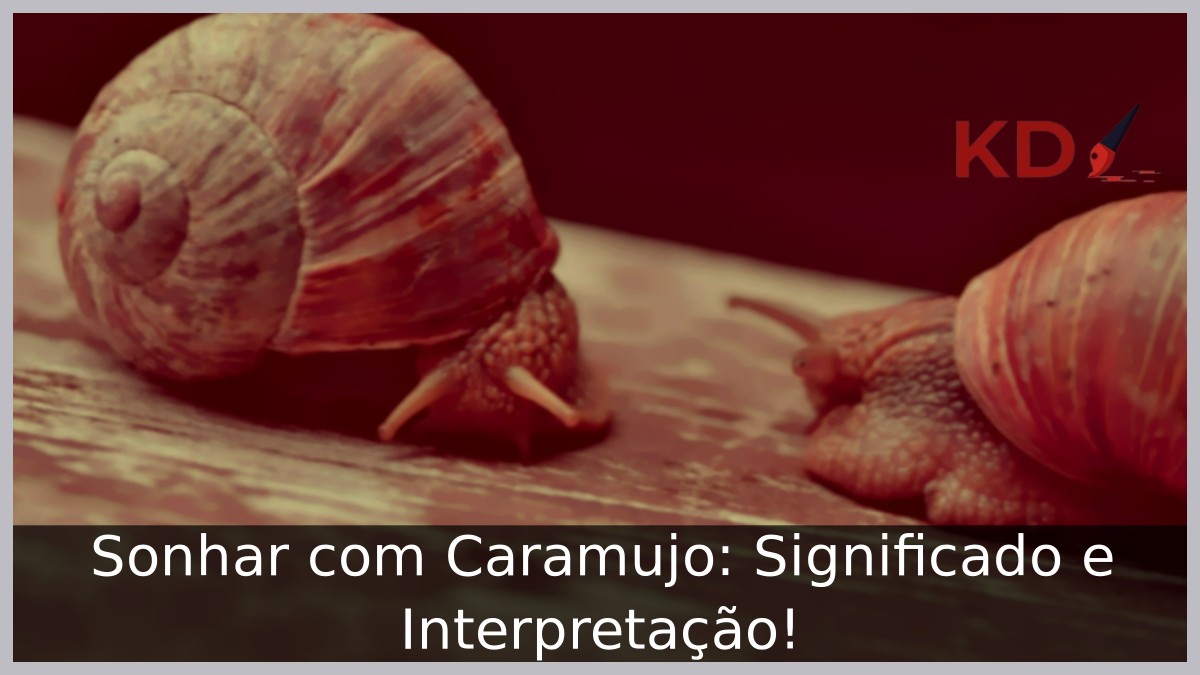 Sonhar com Caramujo: Significado e Interpretação!