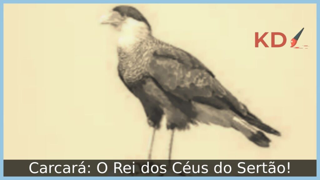 Carcará: O Rei dos Céus do Sertão!