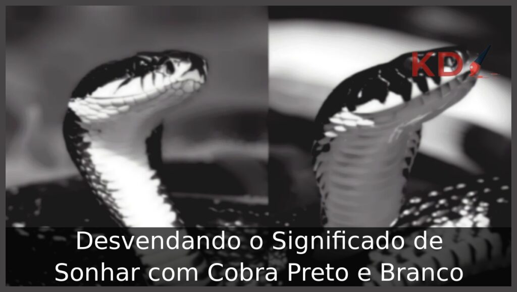 Sonhar com Cobra Preto e Branco