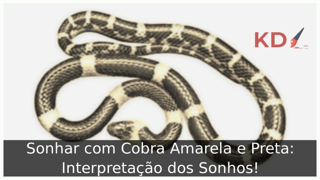 Sonhar com Cobra Amarela e Preta: Interpretação dos Sonhos!