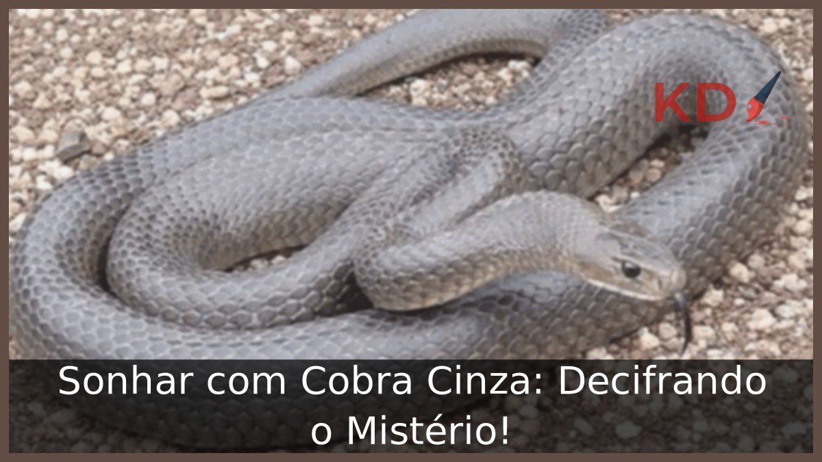 Sonhar com Cobra Cinza: Decifrando o Mistério!
