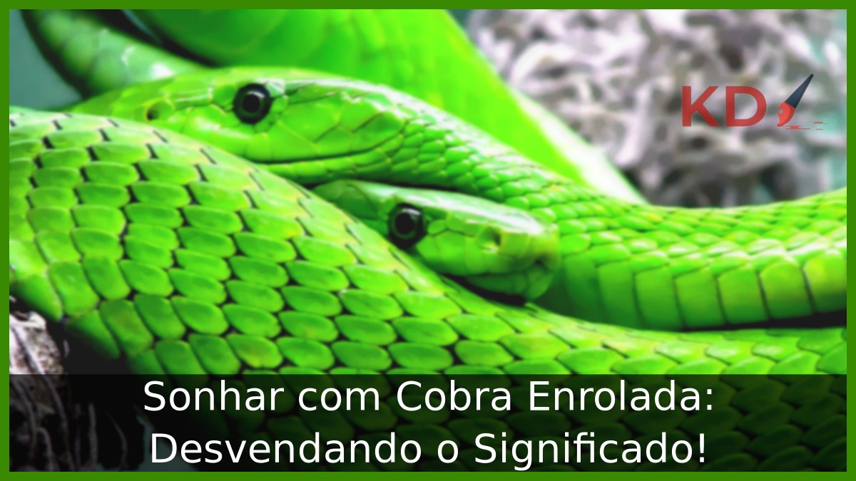 Sonhar com Cobra Enrolada: Desvendando o Significado! - cobra enrolada