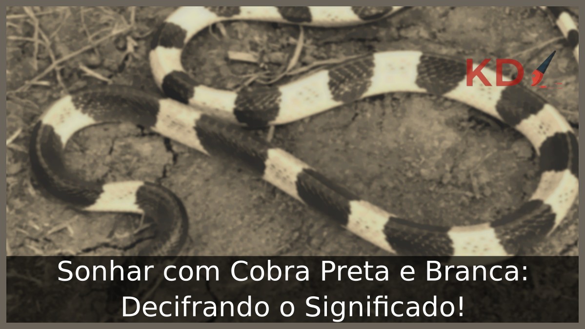 Sonhar com Cobra Preta e Branca: Decifrando o Significado! 13 Sonhar com Cobra Preta e Branca: Decifrando o Significado!