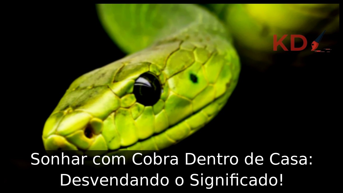 Sonhar com Cobra Dentro de Casa: Desvendando o Significado!