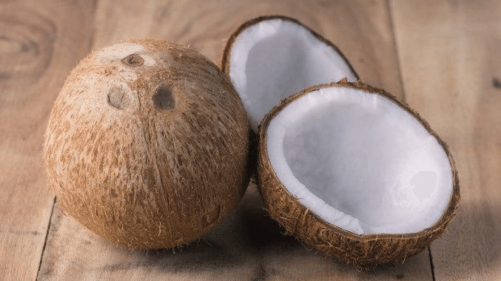 significado de Sonhar com Côco