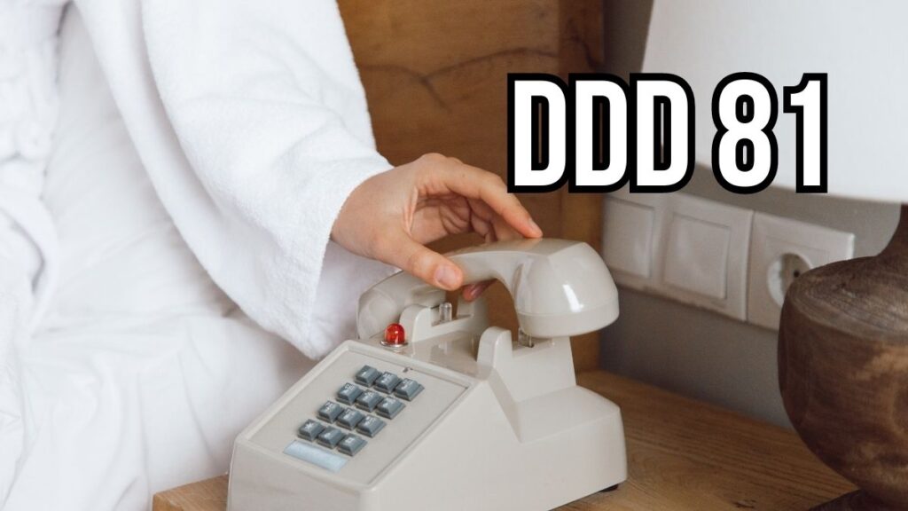 DDD 81