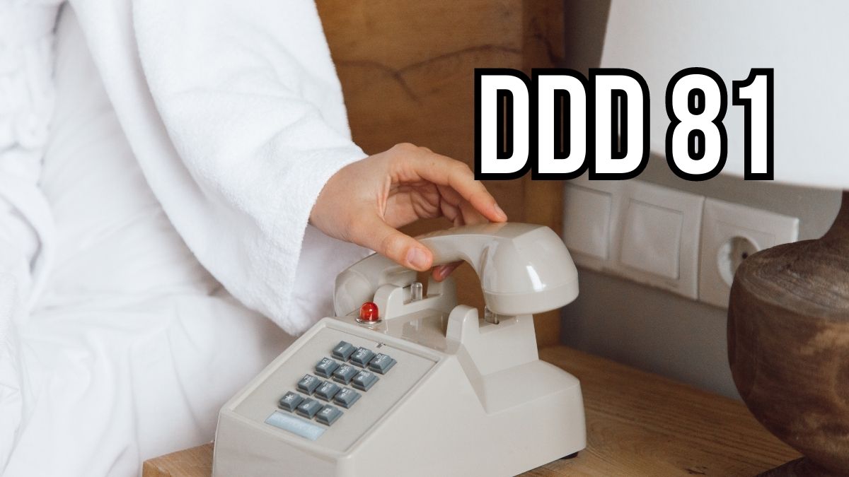 DDD 81