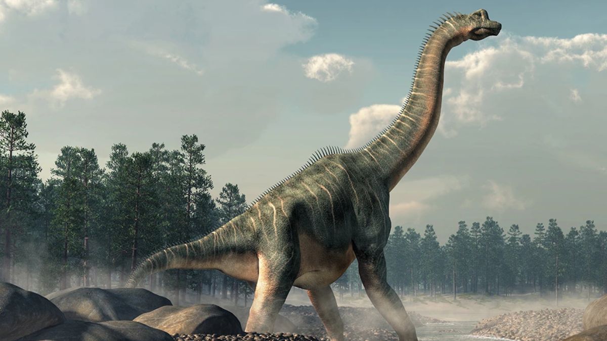 Sonhar com Dinossauro: Entenda o significado! 1 Sonhar com Dinossauro