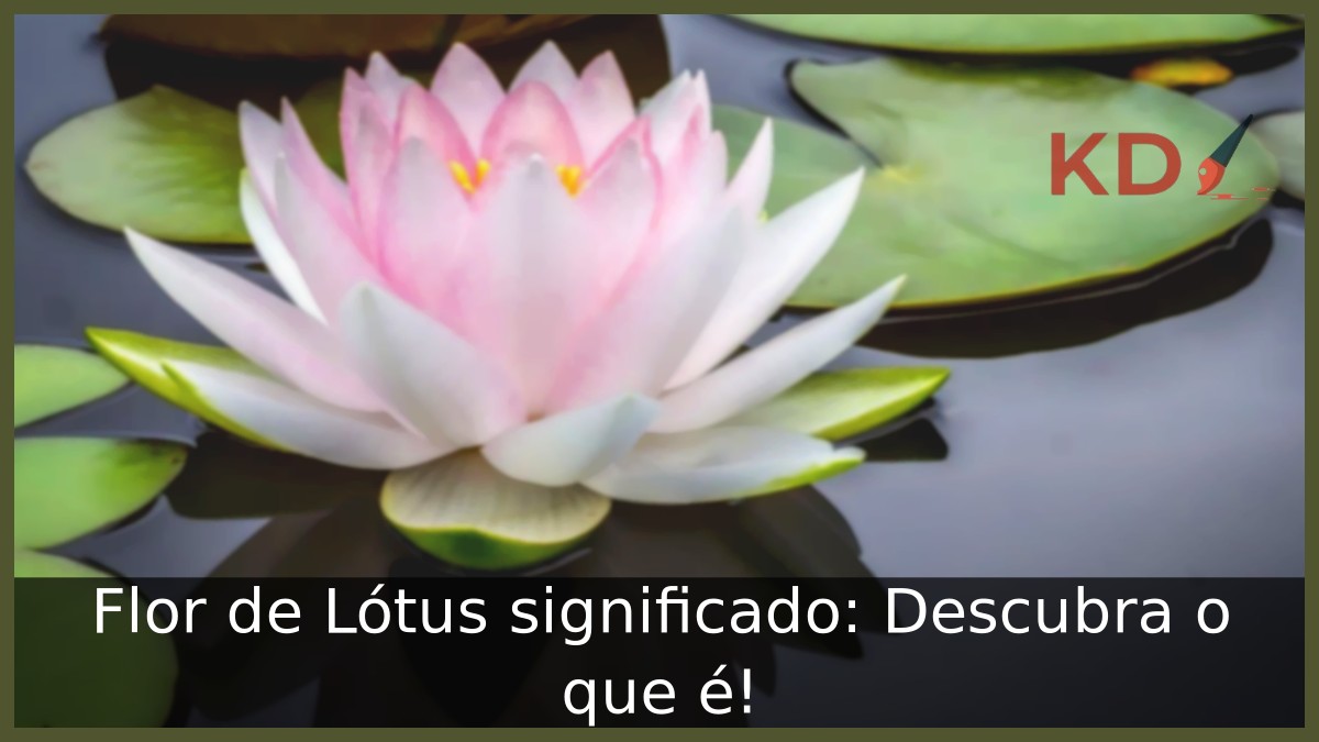 Flor de Lótus significado: Descubra o que é!