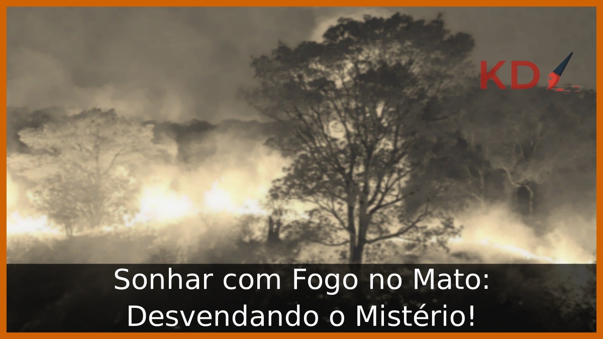 Sonhar com Fogo no Mato: Desvendando o Mistério!