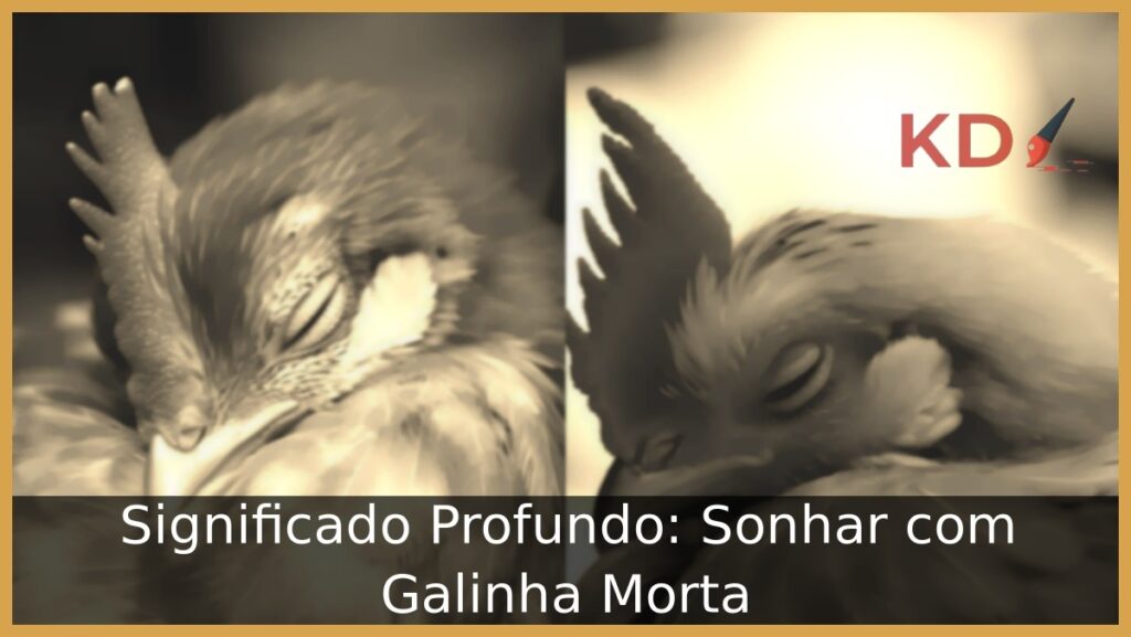 Sonhar com Galinha Morta: Significado Profundo! 1 Sonhar com Galinha Morta