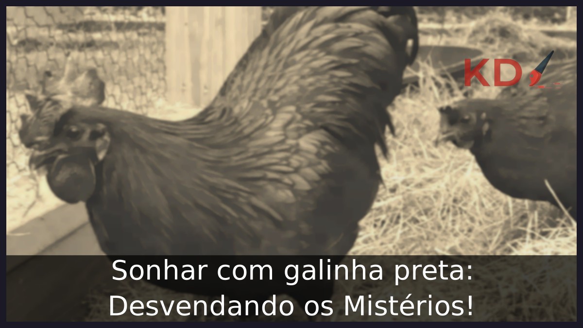 Sonhar com galinha preta: Desvendando os Mistérios!
