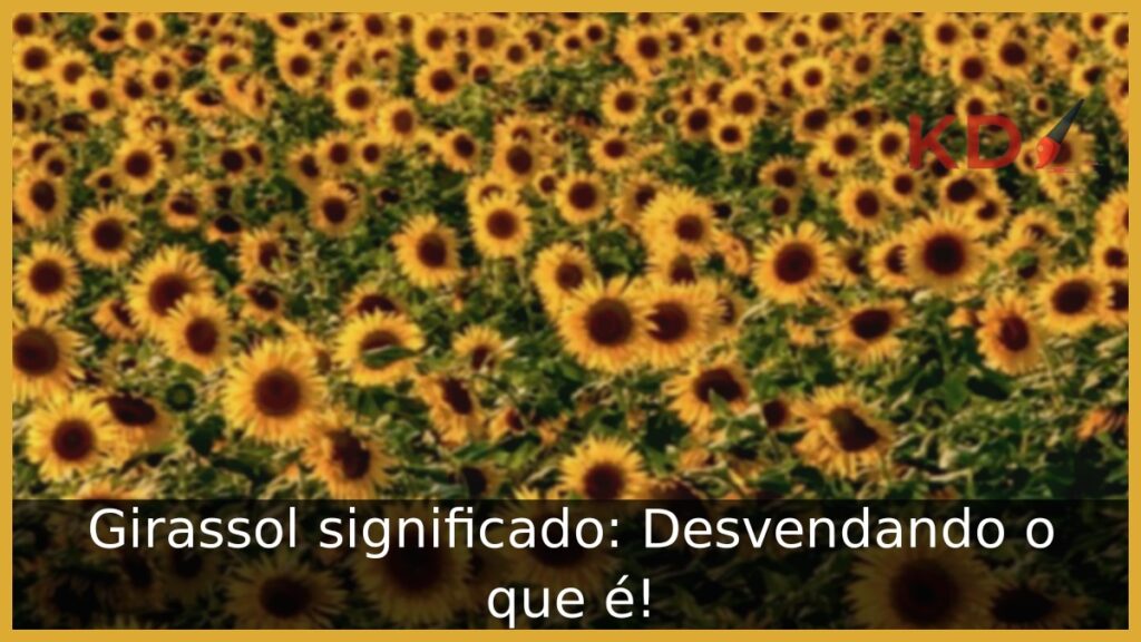 Girassol significado: Desvendando o que é!