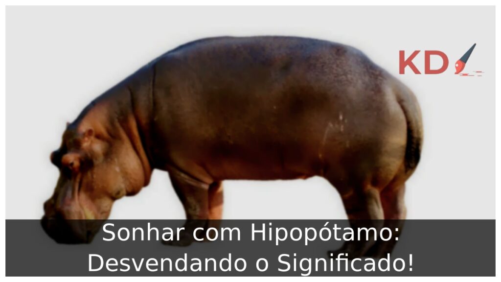 Sonhar com Hipopótamo: Desvendando o Significado!