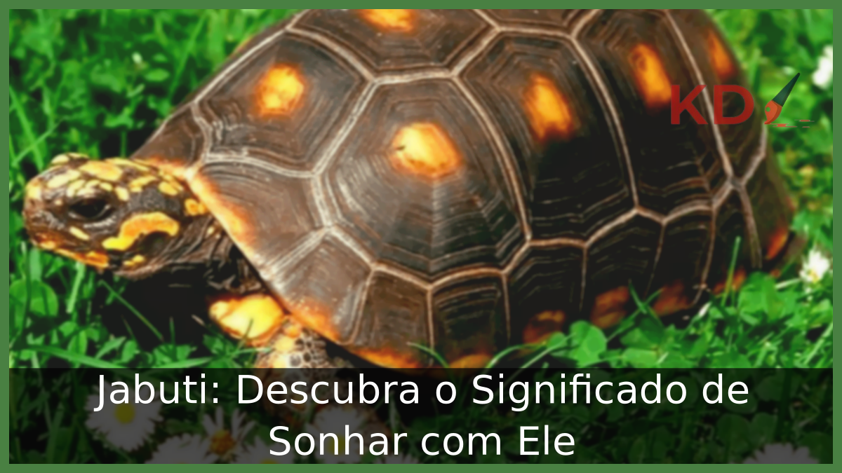 Sonhar com Jabuti