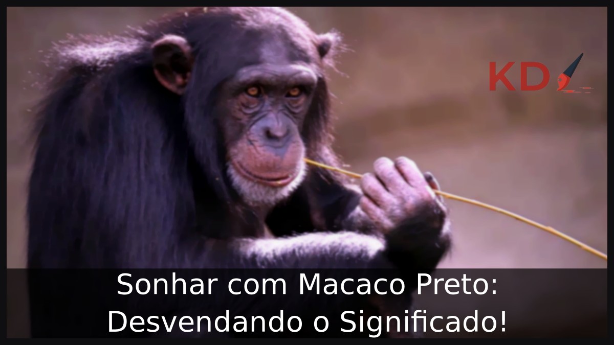 Sonhar com Macaco Preto: Desvendando o Significado!