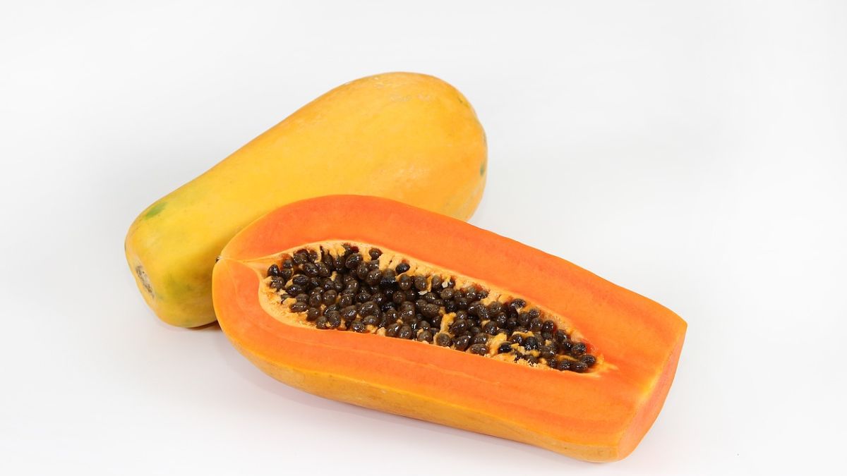 Sonhar comendo mamão: Significado dos Sonhos!