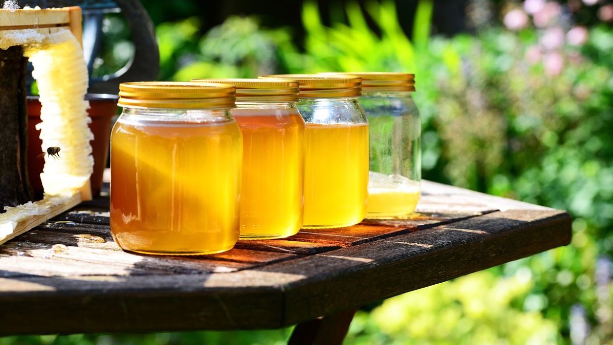 Melhorando a Vida: Sonhar Comendo Mel!