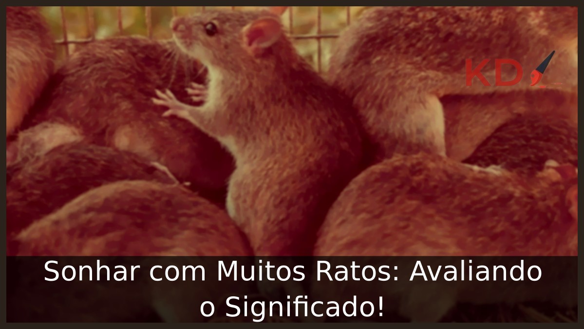 Sonhar com Muitos Ratos: Avaliando o Significado!