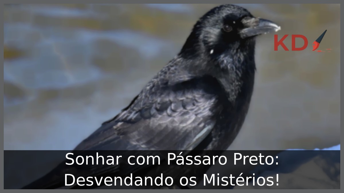 Sonhar com Pássaro Preto: Desvendando os Mistérios!
