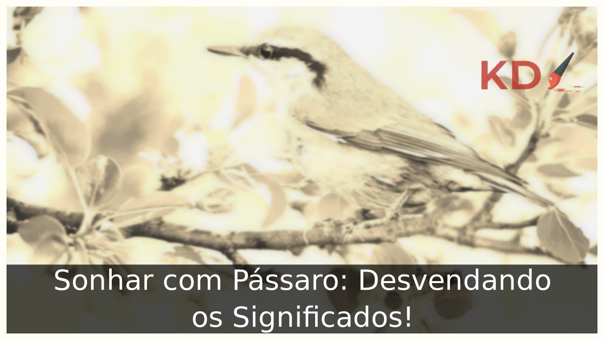 Sonhar com Pássaro: Desvendando os Significados!