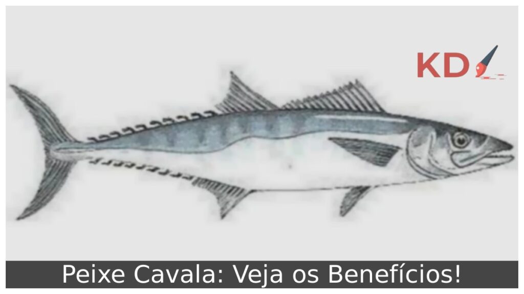 Peixe Cavala: Veja os Benefícios!