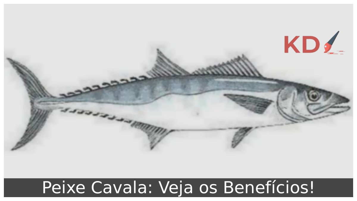 Peixe Cavala: Veja os Benefícios!