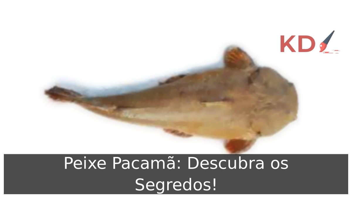 Peixe Pacamã: Descubra os Segredos!