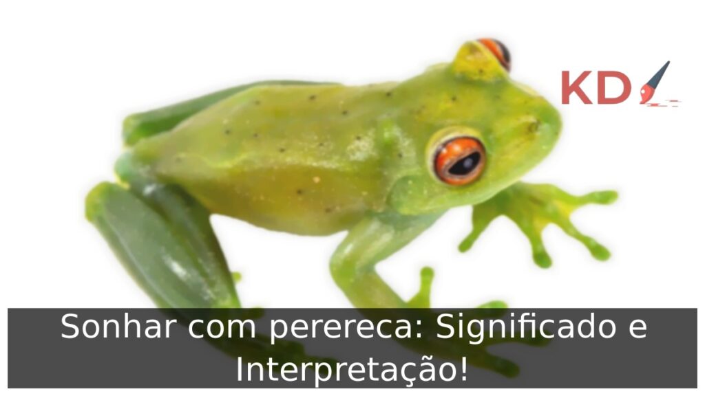 Sonhar com perereca: Significado e Interpretação!
